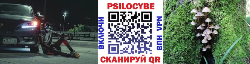 Галлюциногенные грибы Magic Shrooms  цены наркотик  Арск 